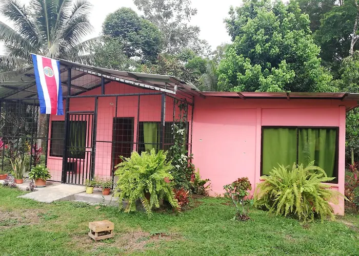 Paraiso Verde