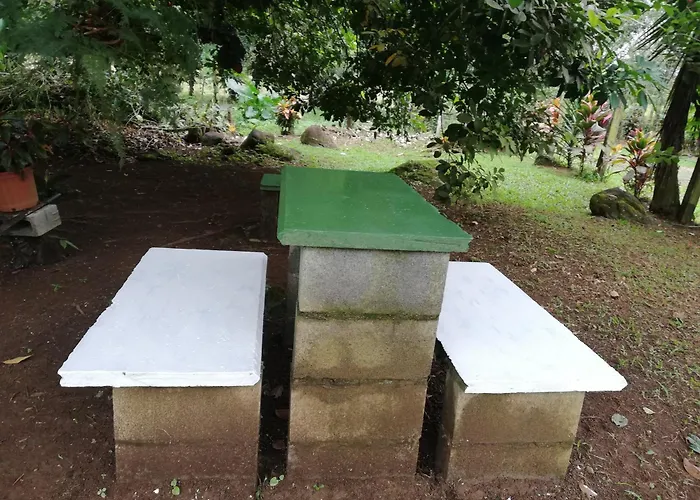 Paraiso Verde
