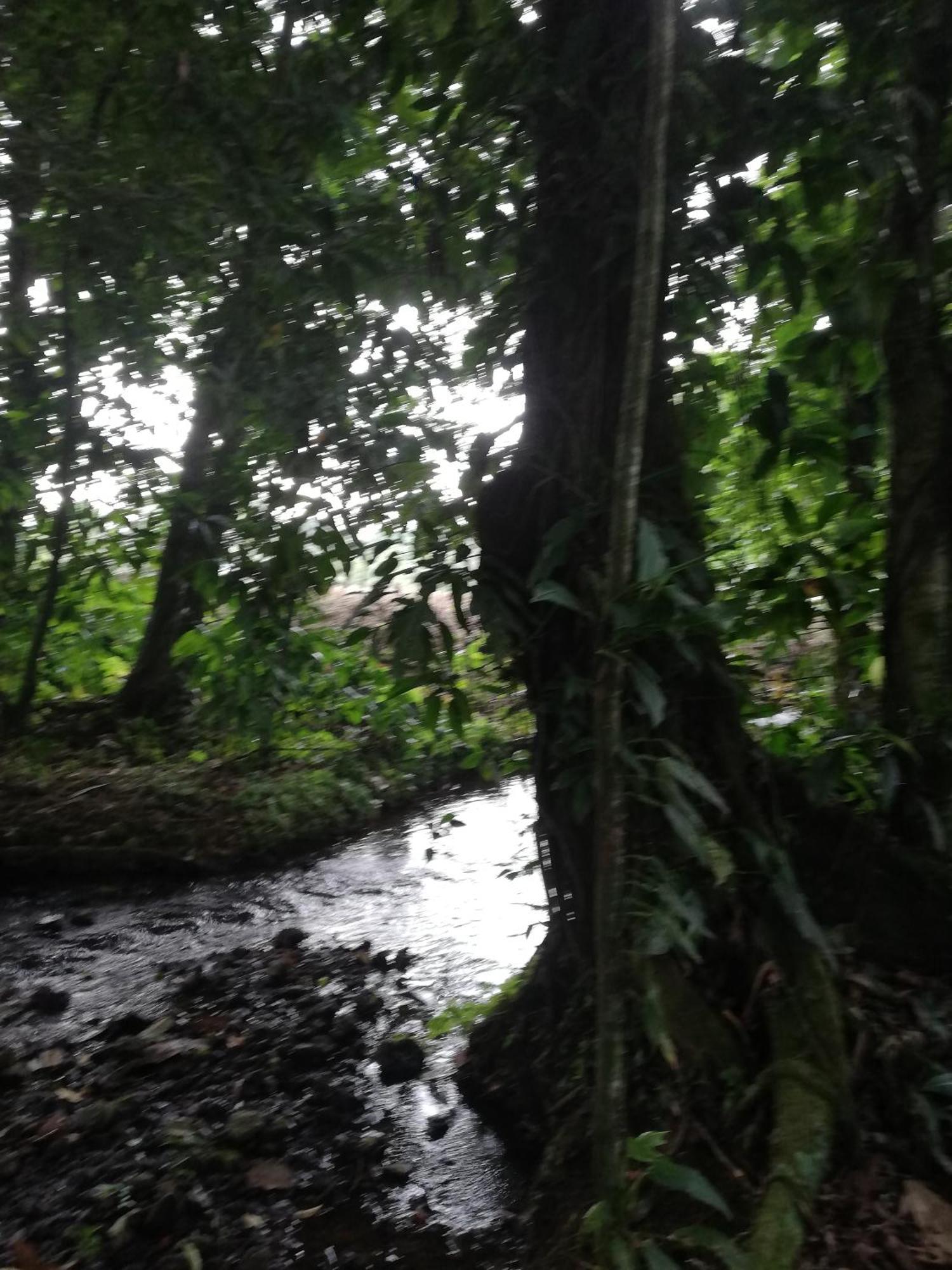Paraiso Siqurres Da Alegria