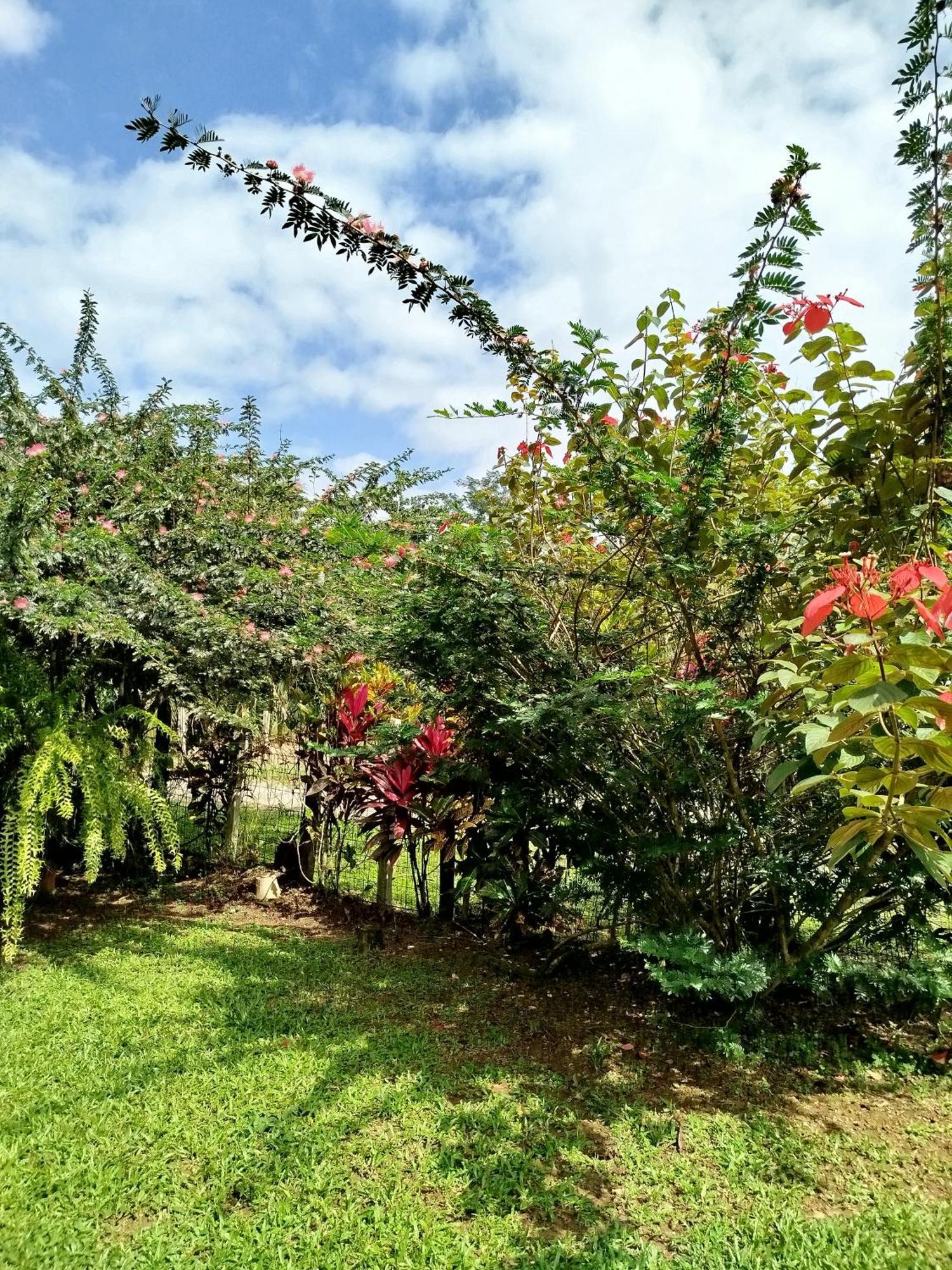 Paraiso Siqurres Da Alegria